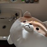 Cute Shiba Inu Plush photo review