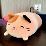 "Totoro & Mix" Soft Pillow photo review