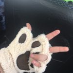 Kawaii Bear-Cat Paw Gloves photo review