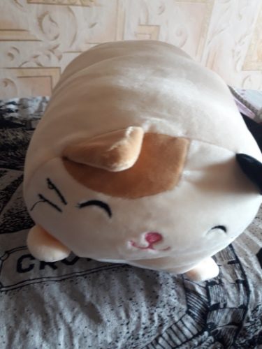 "Totoro & Mix" Soft Pillow photo review